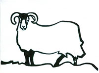 Sheep by Jane Cartney