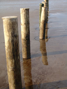Reflections on Weston Beach